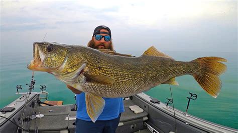 lake erie fish